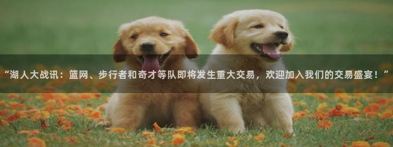 “湖人大战讯：篮网、步行者和奇才等队即将发生重大交易，欢迎加入我们的交易盛宴！”