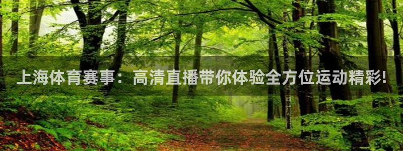 上海体育赛事：高清直播带你体验全方位运动精彩!