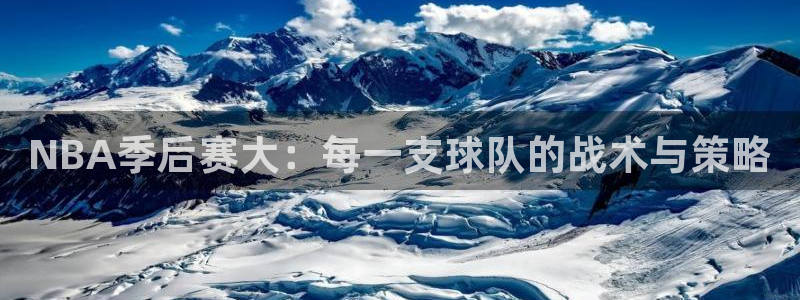 NBA季后赛大：每一支球队的战术与策略