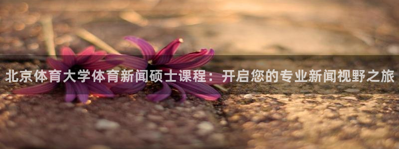 北京体育大学体育新闻硕士课程：开启您的专业新闻视野之旅