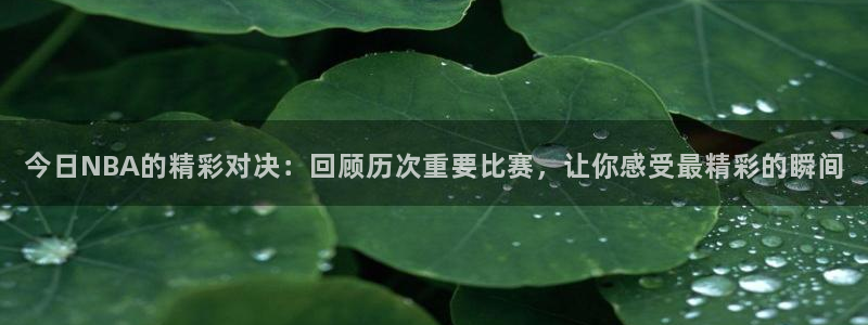 今日NBA的精彩对决：回顾历次重要比赛，让你感受最精彩的瞬间