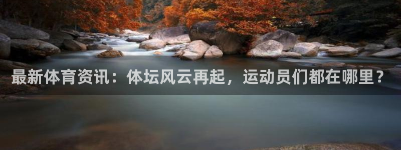 最新体育资讯：体坛风云再起，运动员们都在哪里？