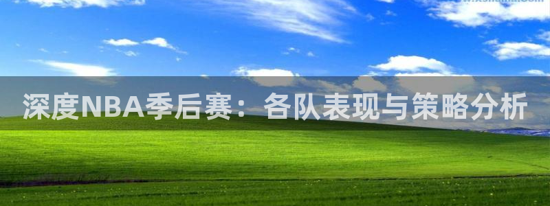 深度NBA季后赛：各队表现与策略分析