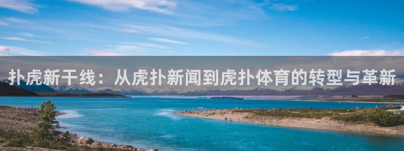 扑虎新干线：从虎扑新闻到虎扑体育的转型与革新