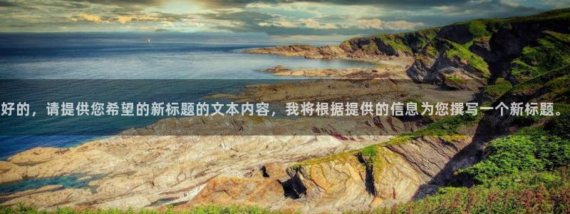 好的，请提供您希望的新标题的文本内容，我将根据提供的信息为您撰写一个新标题。