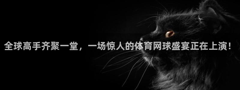 全球高手齐聚一堂，一场惊人的体育网球盛宴正在上演！