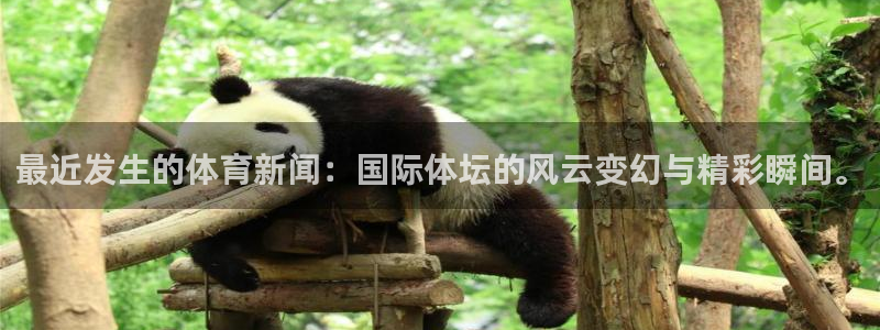 最近发生的体育新闻：国际体坛的风云变幻与精彩瞬间。