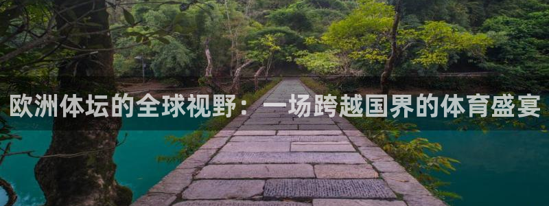 欧洲体坛的全球视野：一场跨越国界的体育盛宴