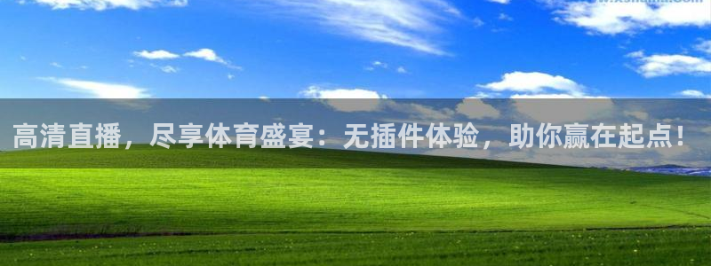 高清直播，尽享体育盛宴：无插件体验，助你赢在起点！