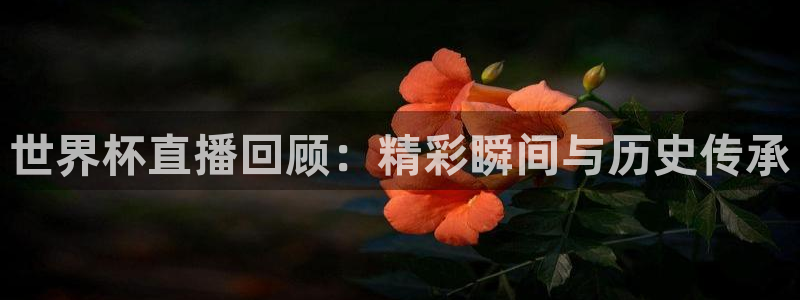 世界杯直播回顾：精彩瞬间与历史传承