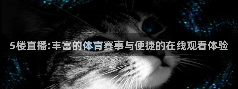 5楼直播:丰富的体育赛事与便捷的在线观看体验