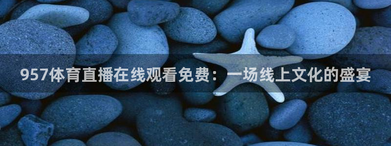 957体育直播在线观看免费：一场线上文化的盛宴