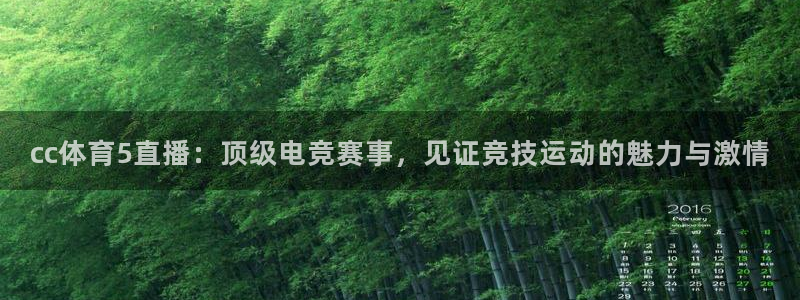 cc体育5直播：顶级电竞赛事，见证竞技运动的魅力与激情