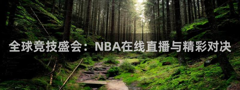 全球竞技盛会：NBA在线直播与精彩对决