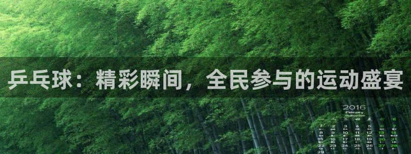 乒乓球：精彩瞬间，全民参与的运动盛宴