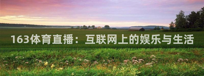 163体育直播：互联网上的娱乐与生活