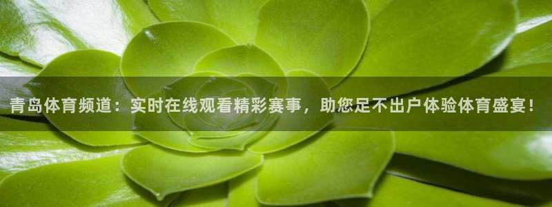 青岛体育频道：实时在线观看精彩赛事，助您足不出户体验体育盛宴！