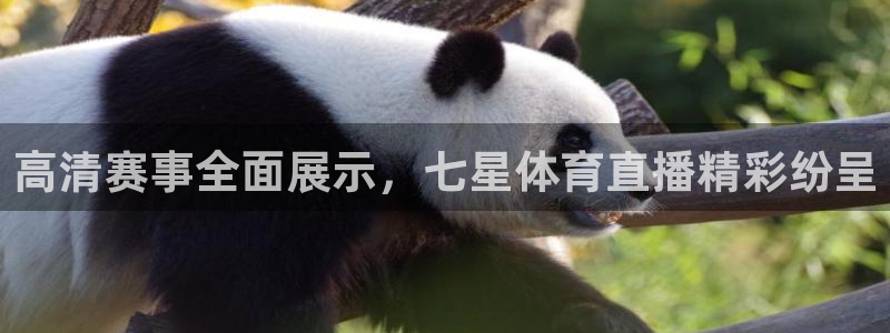 高清赛事全面展示，七星体育直播精彩纷呈