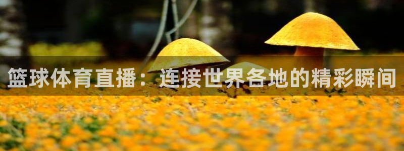 篮球体育直播：连接世界各地的精彩瞬间