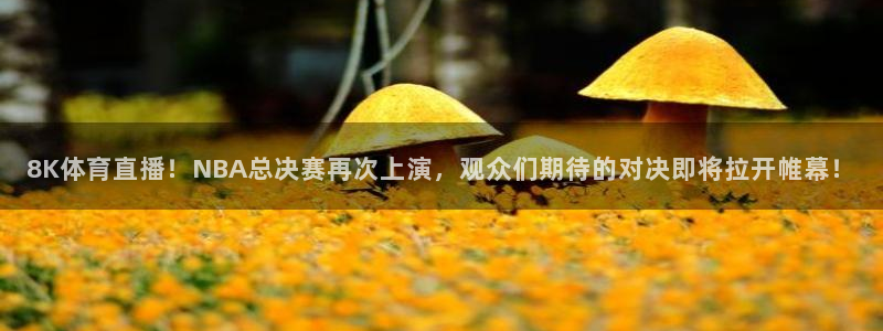 8K体育直播！NBA总决赛再次上演，观众们期待的对决即将拉开帷幕！