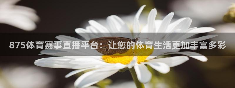 875体育赛事直播平台：让您的体育生活更加丰富多彩