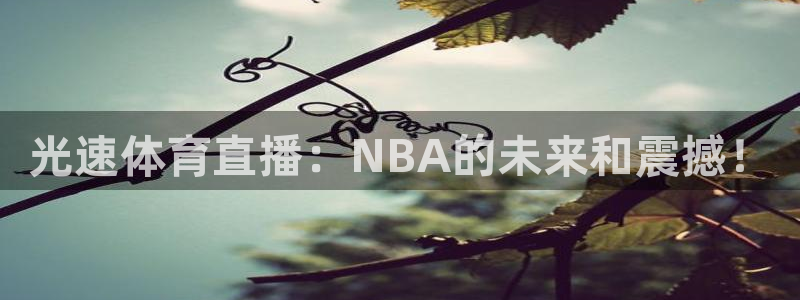 光速体育直播：NBA的未来和震撼！