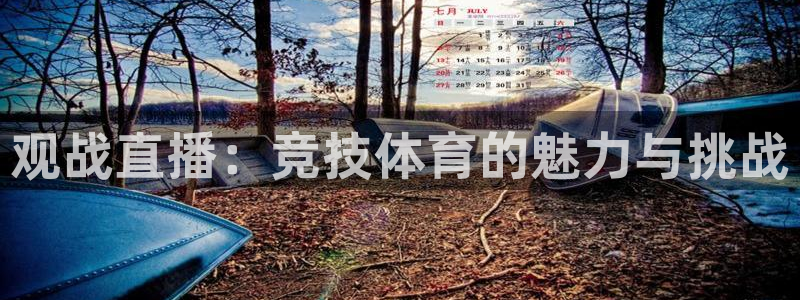 观战直播：竞技体育的魅力与挑战