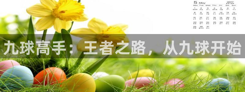 九球高手：王者之路，从九球开始