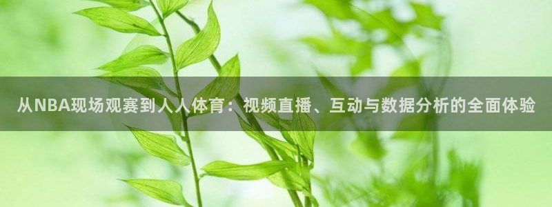 从NBA现场观赛到人人体育：视频直播、互动与数据分析的全面体验