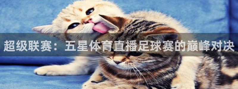 超级联赛：五星体育直播足球赛的巅峰对决