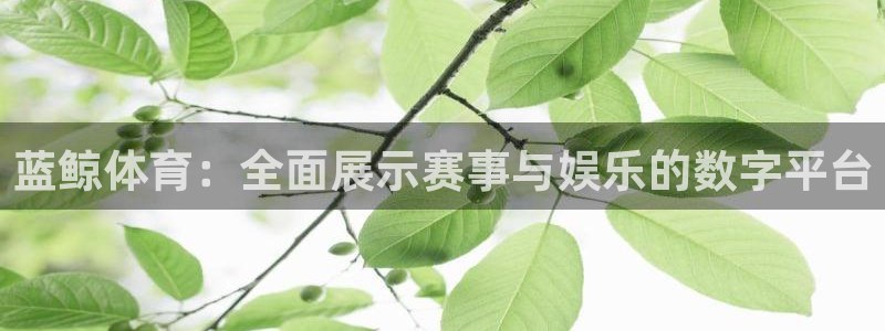 蓝鲸体育：全面展示赛事与娱乐的数字平台