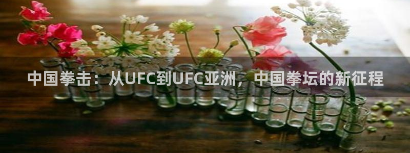 中国拳击：从UFC到UFC亚洲，中国拳坛的新征程