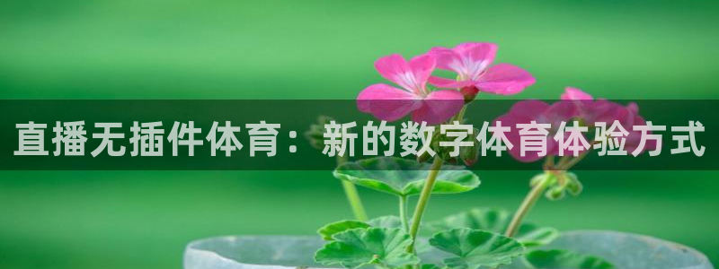 直播无插件体育：新的数字体育体验方式