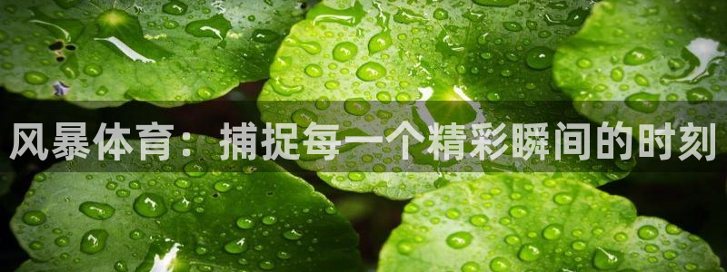 风暴体育：捕捉每一个精彩瞬间的时刻