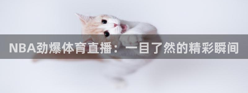 NBA劲爆体育直播：一目了然的精彩瞬间