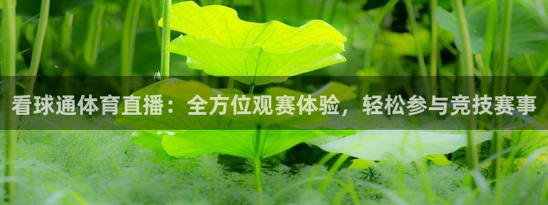 看球通体育直播：全方位观赛体验，轻松参与竞技赛事