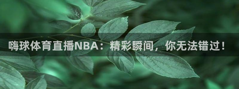 嗨球体育直播NBA：精彩瞬间，你无法错过！