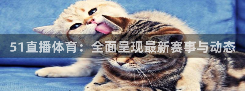 51直播体育：全面呈现最新赛事与动态