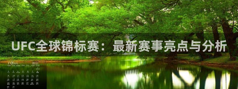 UFC全球锦标赛：最新赛事亮点与分析