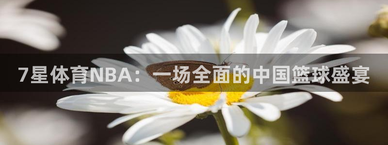 7星体育NBA：一场全面的中国篮球盛宴