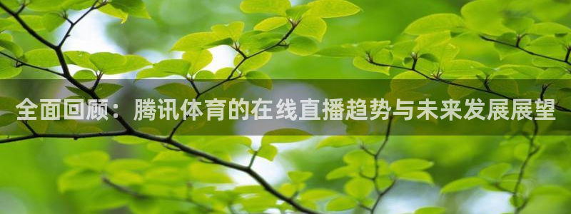全面回顾：腾讯体育的在线直播趋势与未来发展展望