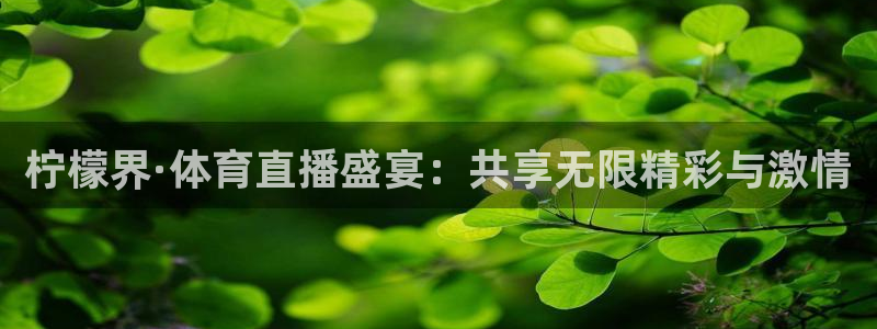 柠檬界·体育直播盛宴：共享无限精彩与激情