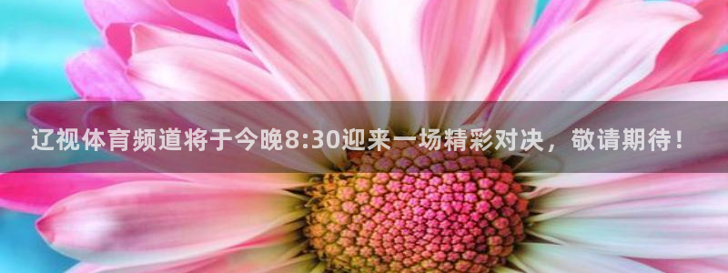 辽视体育频道将于今晚8:30迎来一场精彩对决，敬请期待！