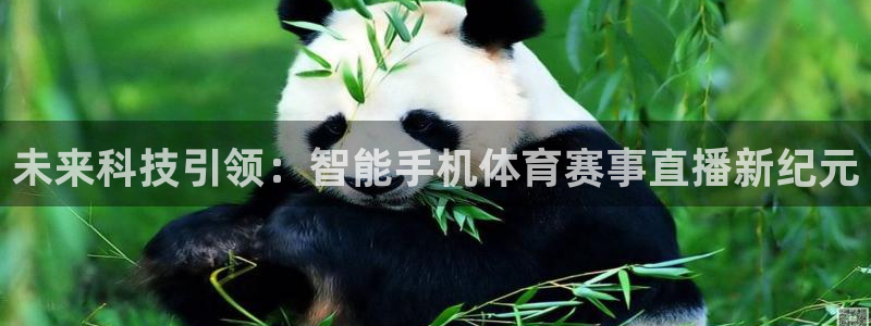 未来科技引领：智能手机体育赛事直播新纪元