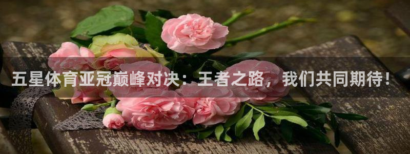 五星体育亚冠巅峰对决：王者之路，我们共同期待！