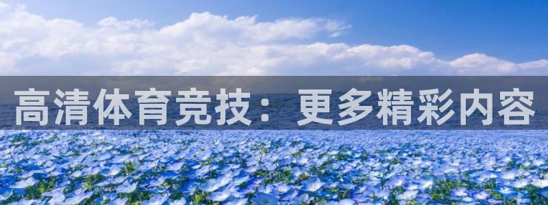 高清体育竞技：更多精彩内容