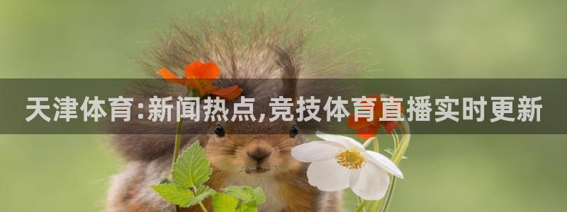 天津体育:新闻热点,竞技体育直播实时更新