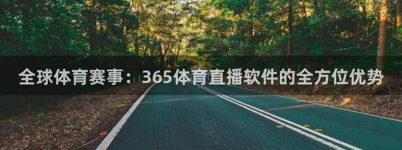 全球体育赛事：365体育直播软件的全方位优势