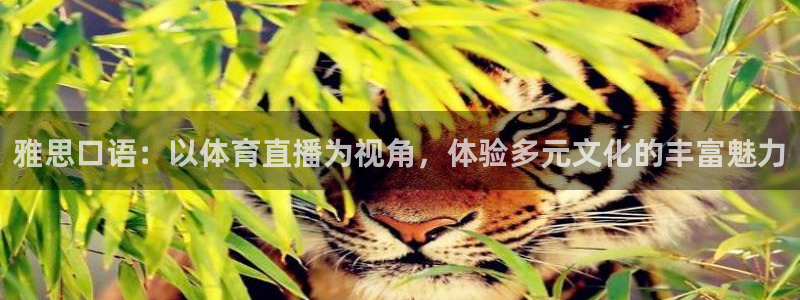 雅思口语：以体育直播为视角，体验多元文化的丰富魅力