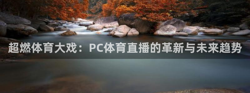 超燃体育大戏：PC体育直播的革新与未来趋势